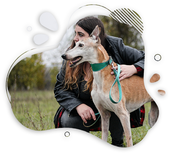 The designer behind Pawfectly with a Hungarian greyhound outdoors