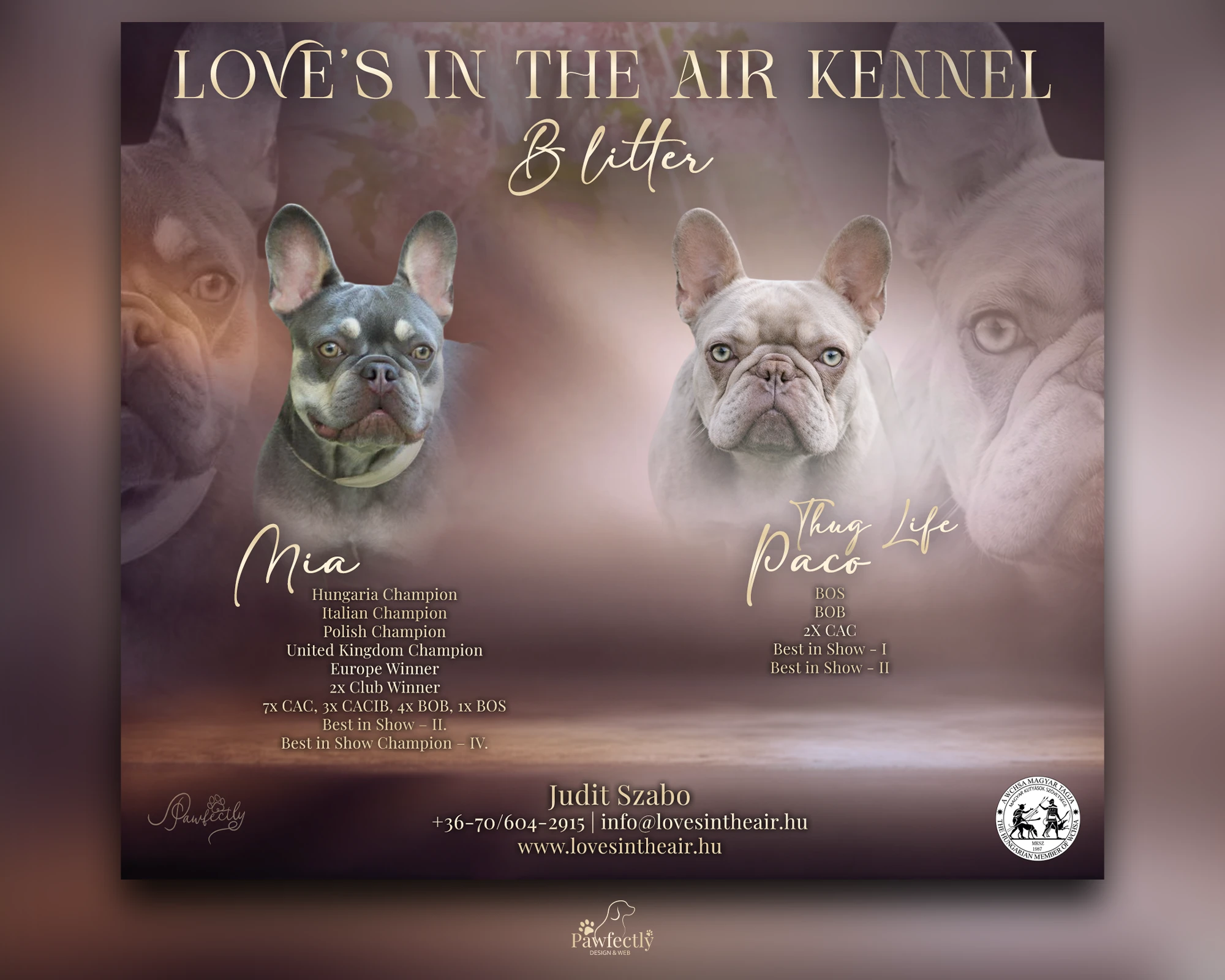 Breeder - Litter advert