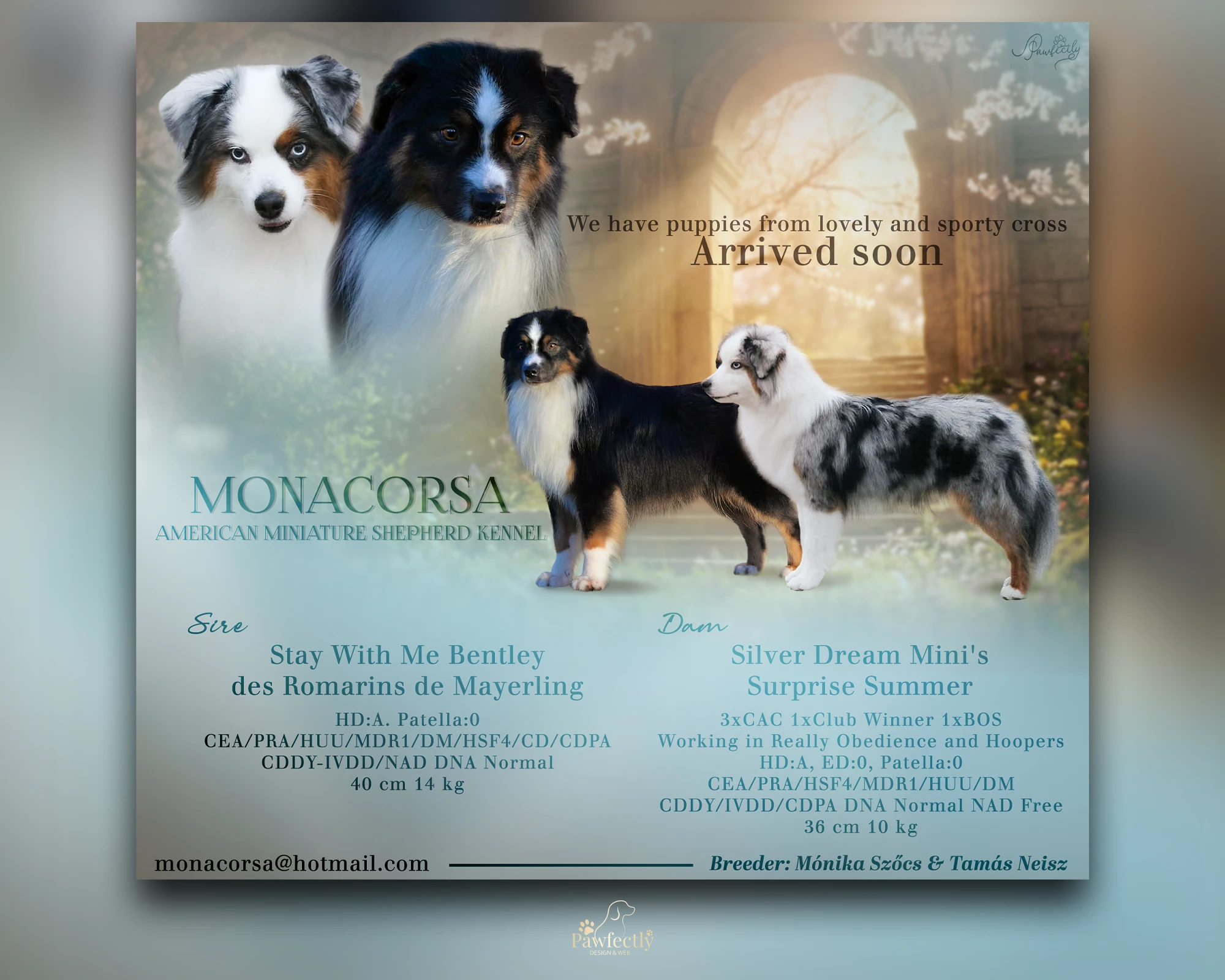 Breeder - Litter advert