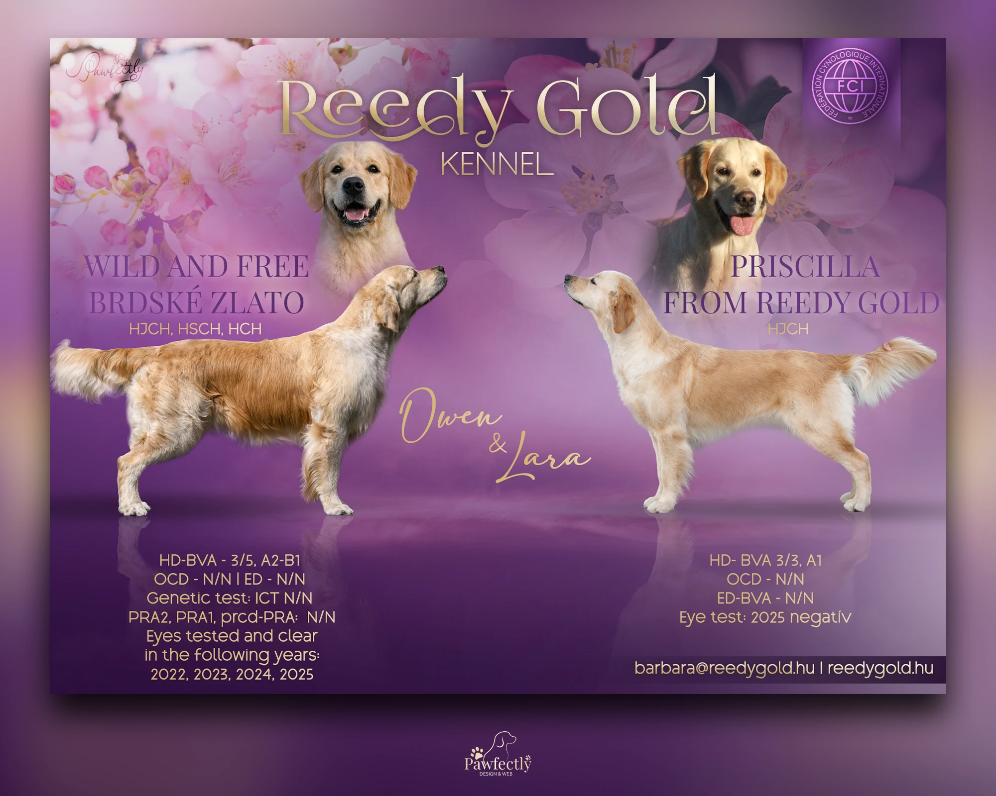 Breeder - Litter advert