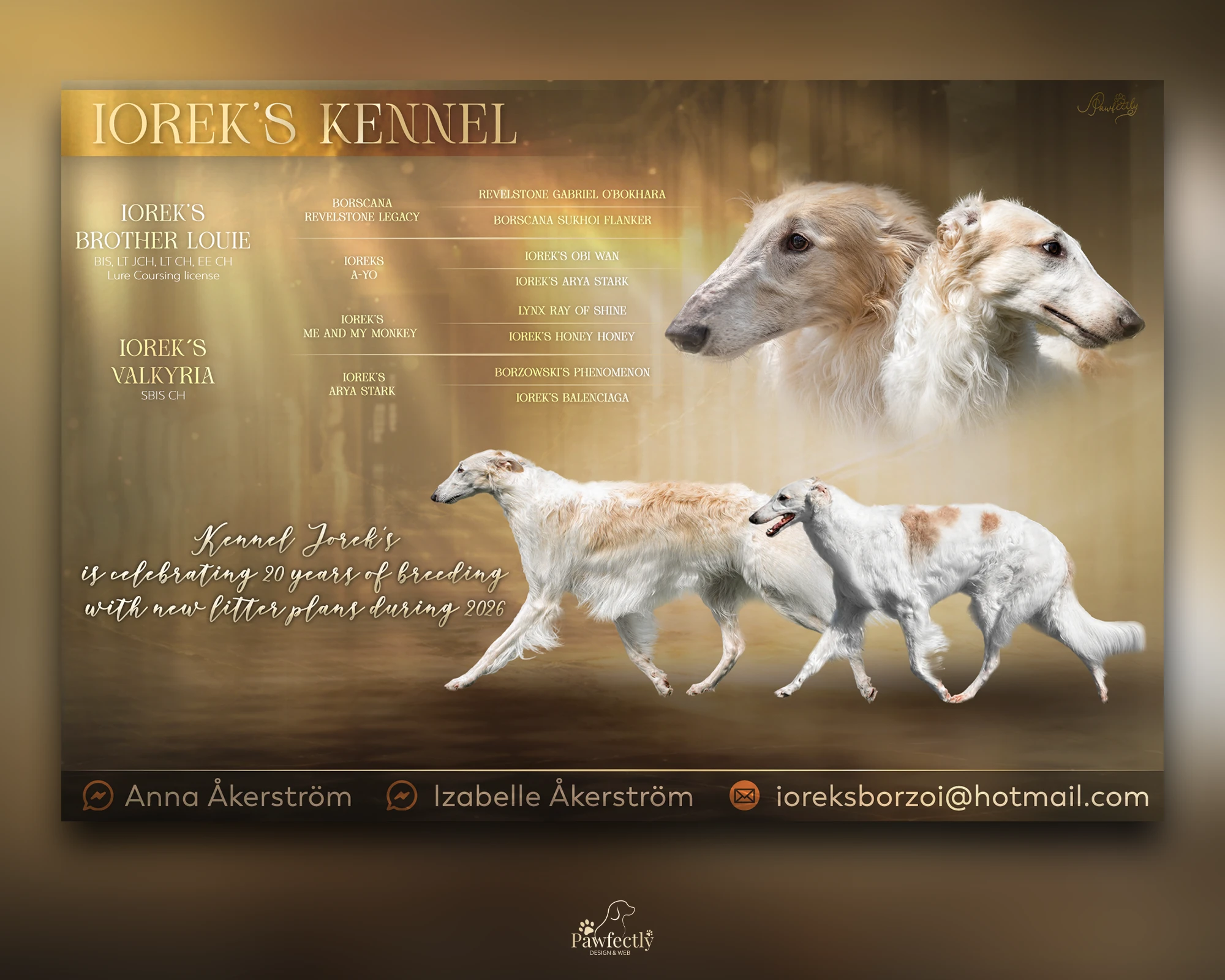 Breeder - Litter advert