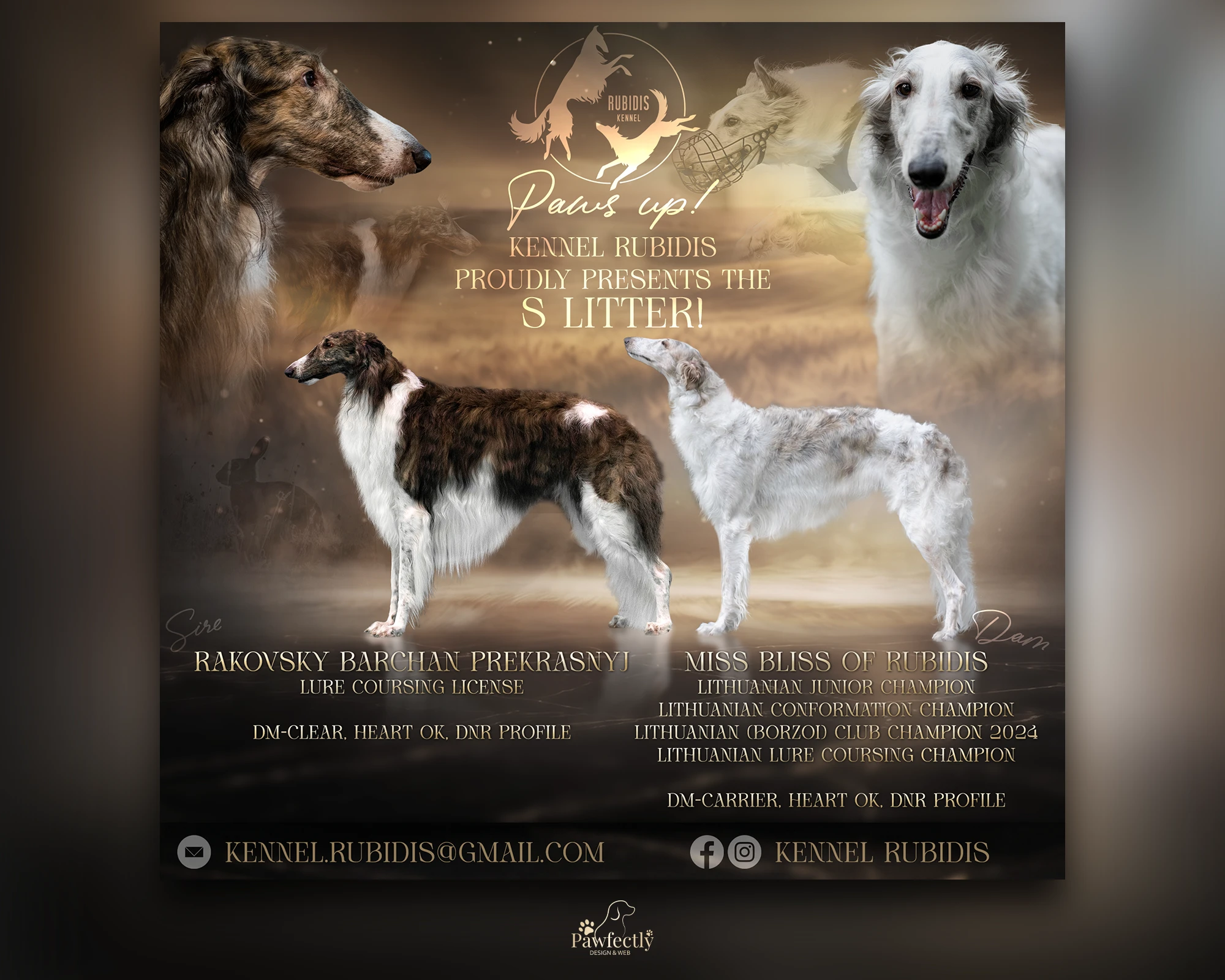 Breeder - Litter advert