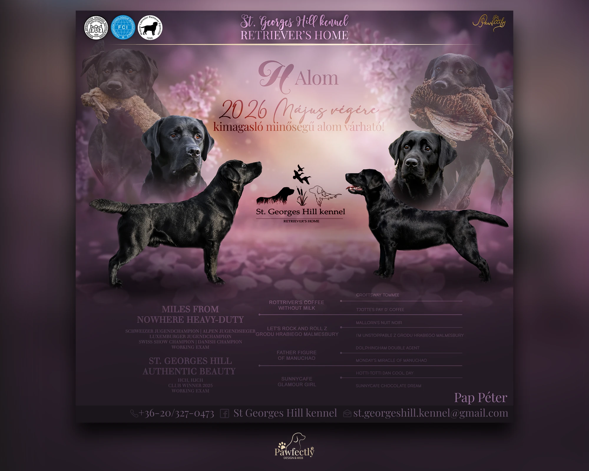 Breeder - Litter advert