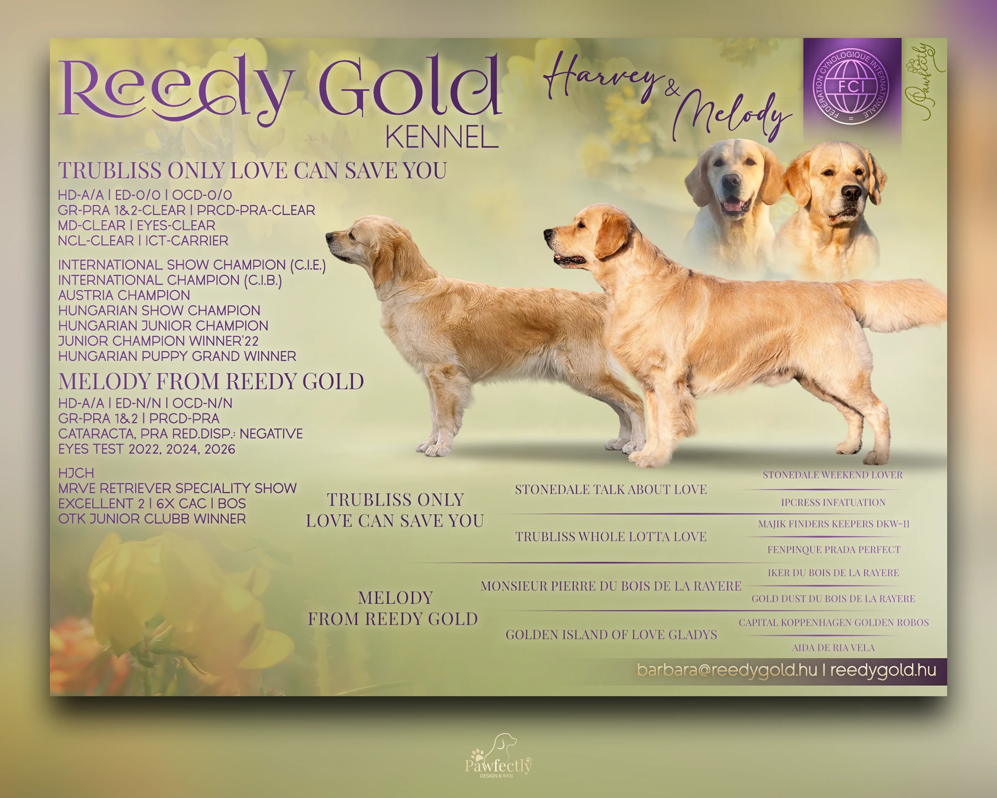 Breeder - Litter advert