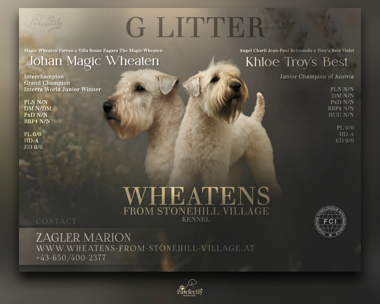 Breeder - Litter advert