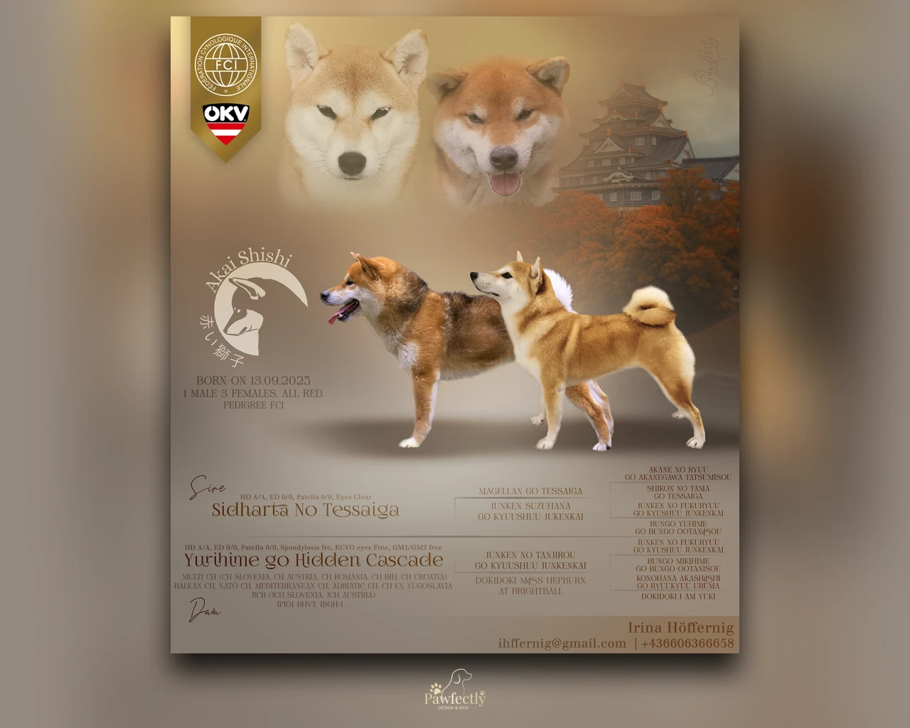 Breeder - Litter advert