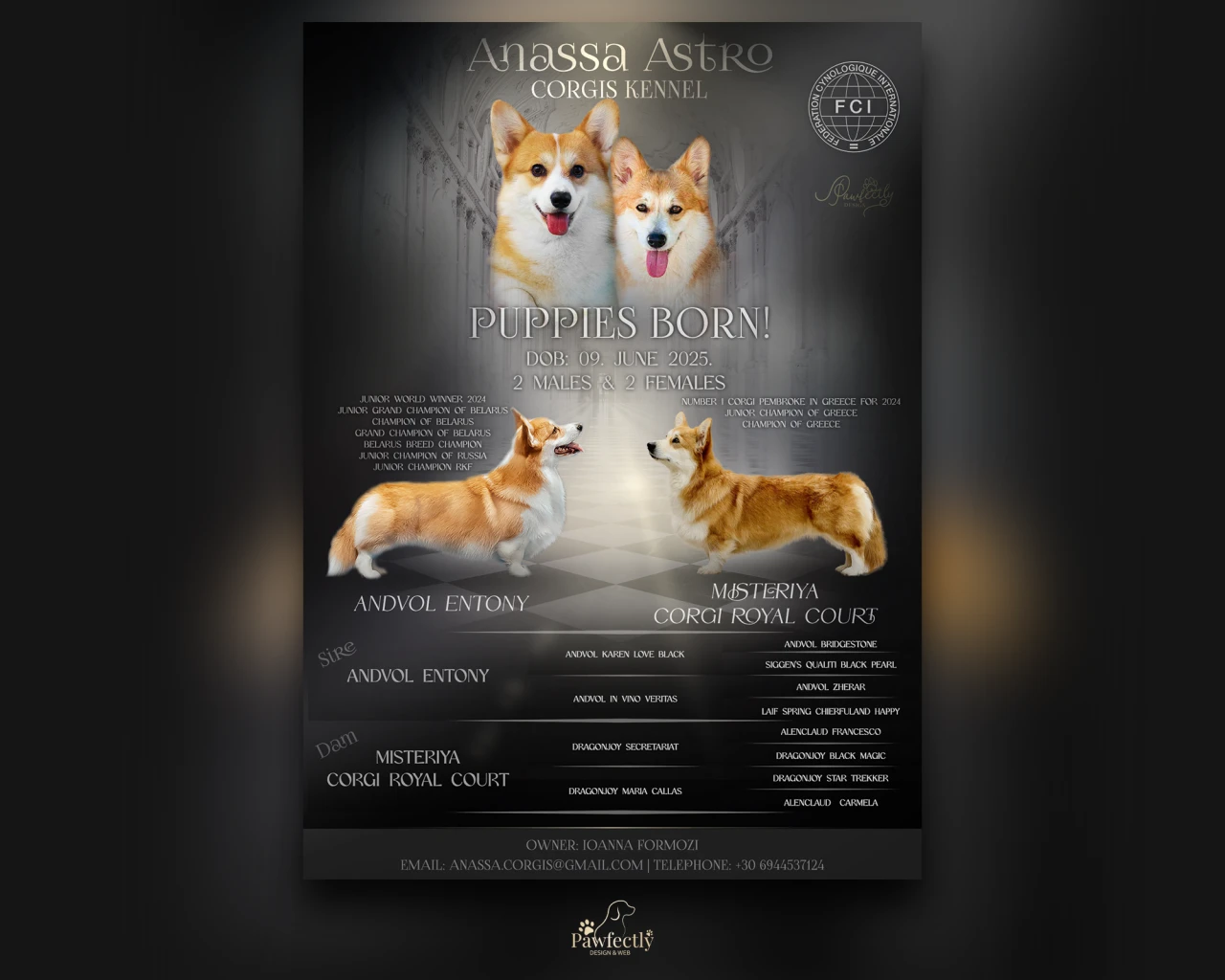 Breeder - Litter advert