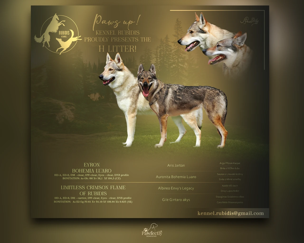 Breeder - Litter advert