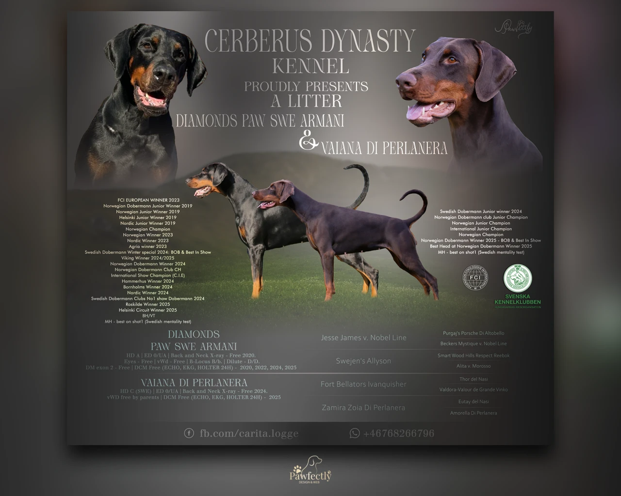 Breeder - Litter advert