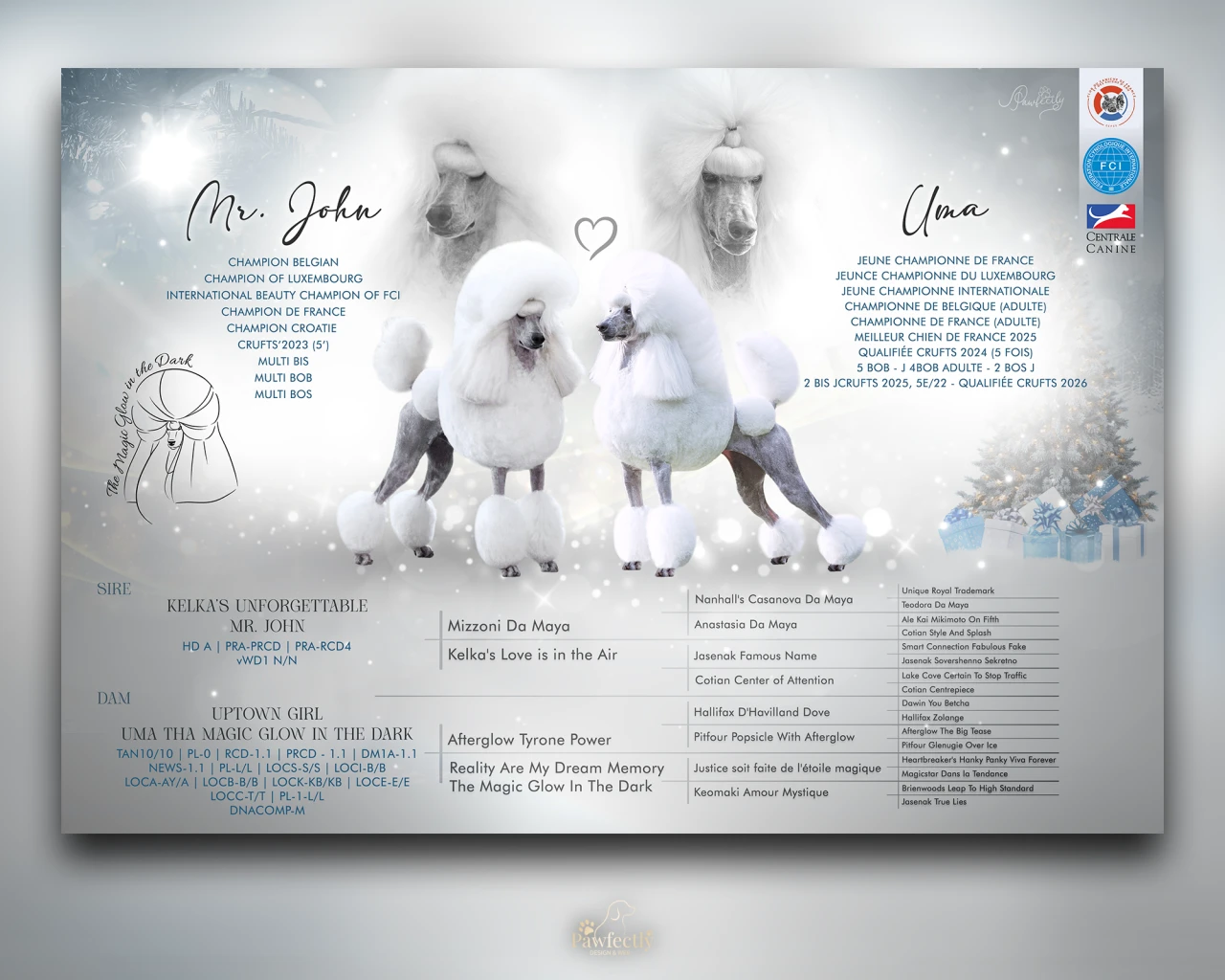 Breeder - Litter advert