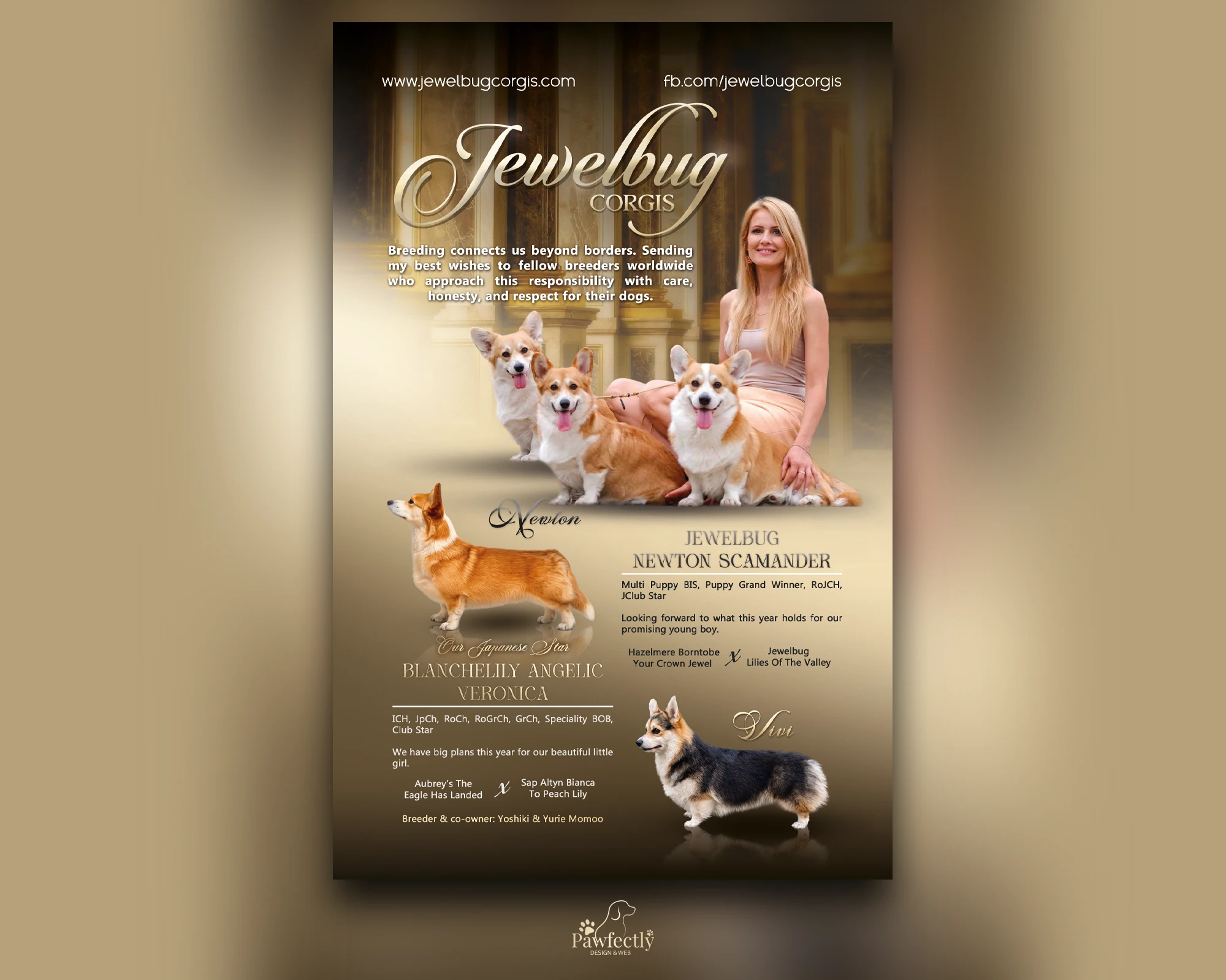 Jewelbug Corgis magazine advert