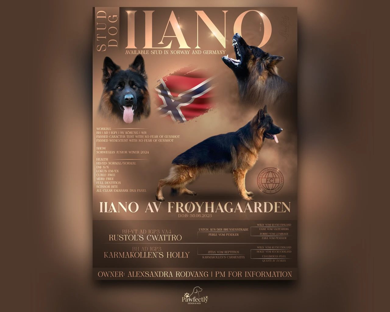 Dog Breeder - Stud Dog advert | Ilano AV Froyhagaarden | German Shepherd